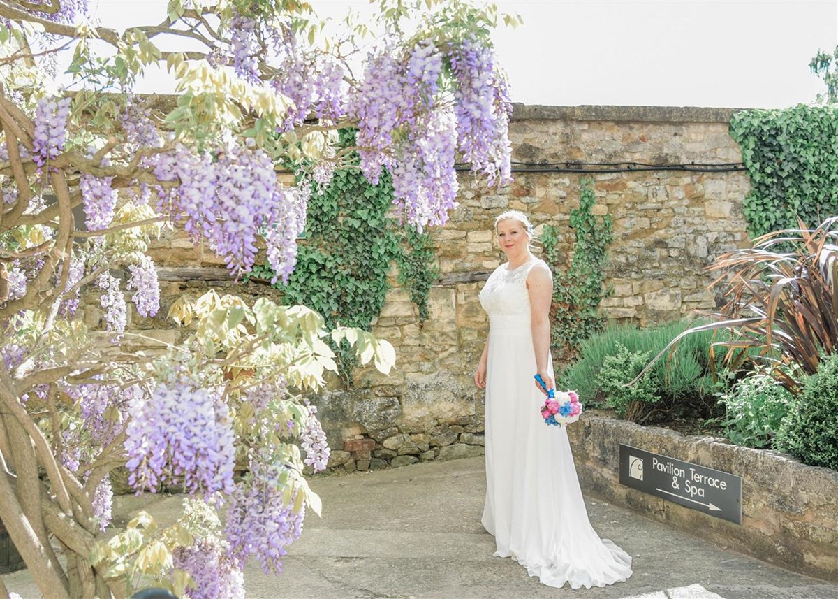 Wisteria gardens
