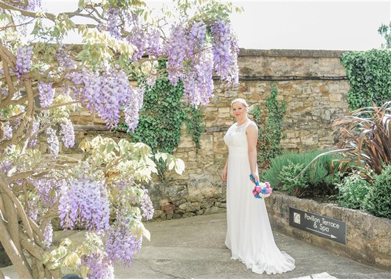 Wisteria gardens