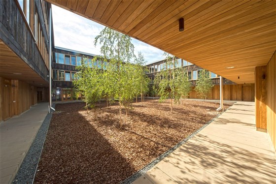 Courtyard