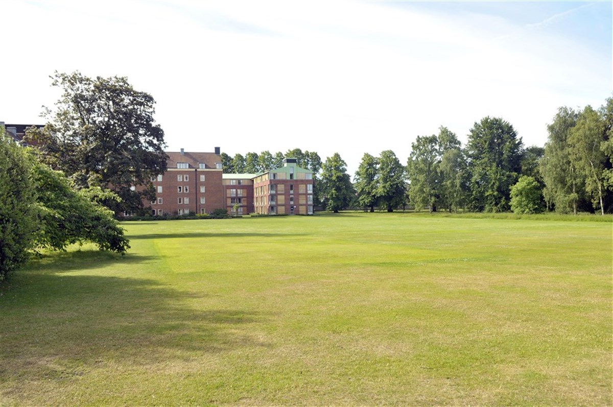 D & E Lawn (12 acri di terreno paesaggistico)