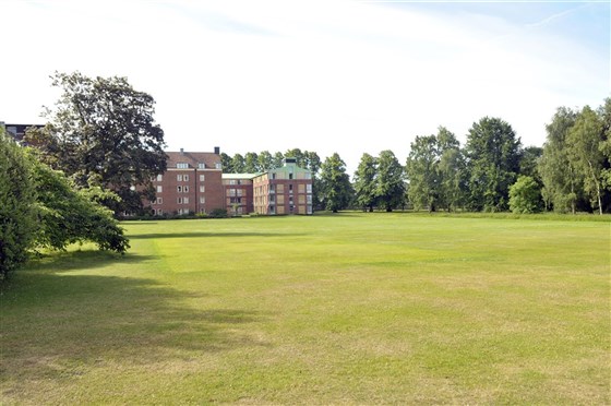 D & E Lawn (12 acri di terreno paesaggistico)