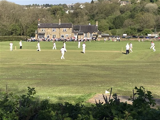 View of Cricket from the Farm