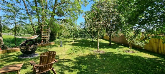 View of the orchard