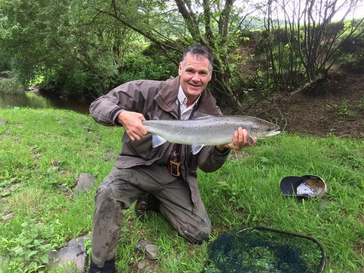 Hen Salmon