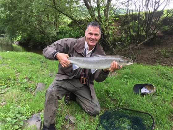 Hen Salmon