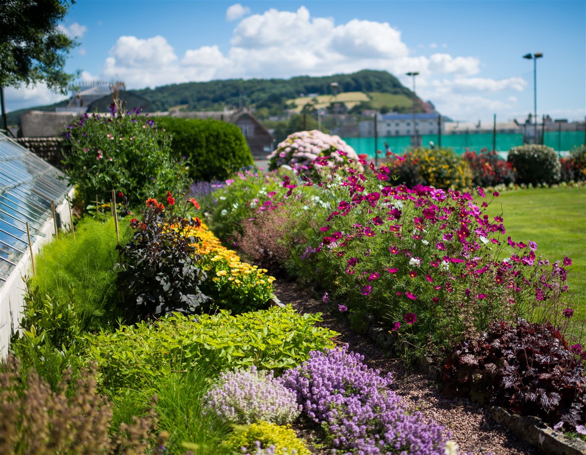 Beautiful gardens