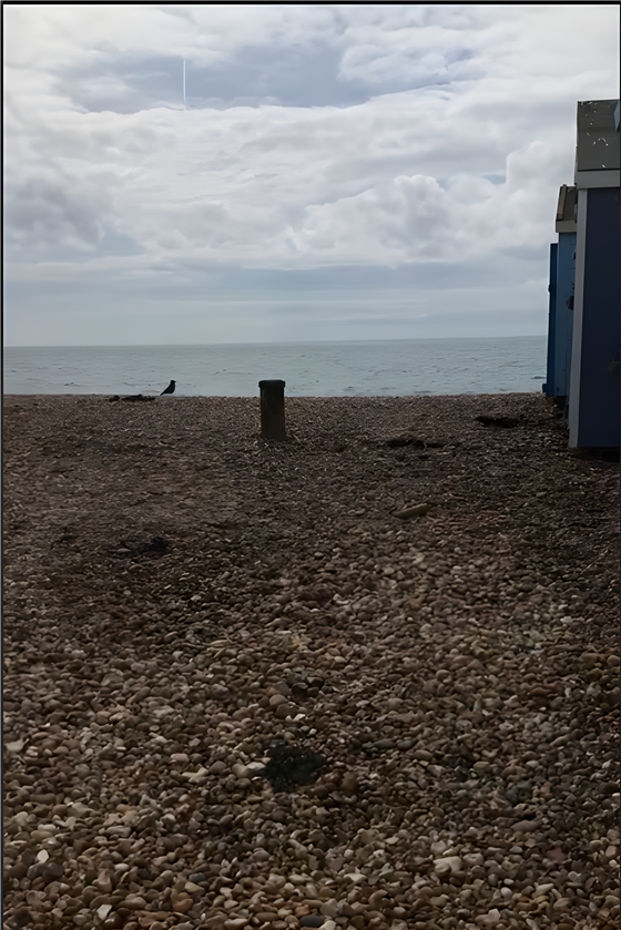 Beach hut view