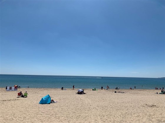 Beach picture