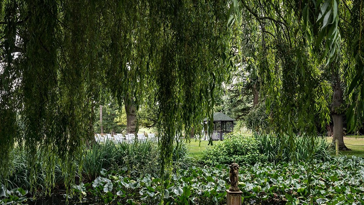 Outdoor ceremony