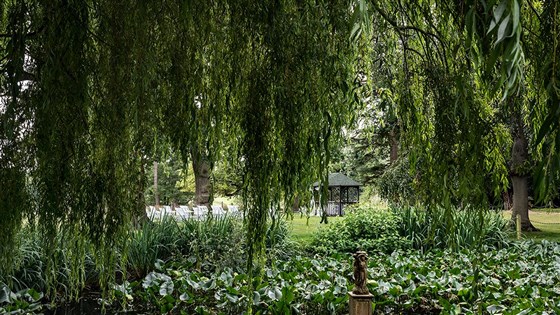 Outdoor ceremony