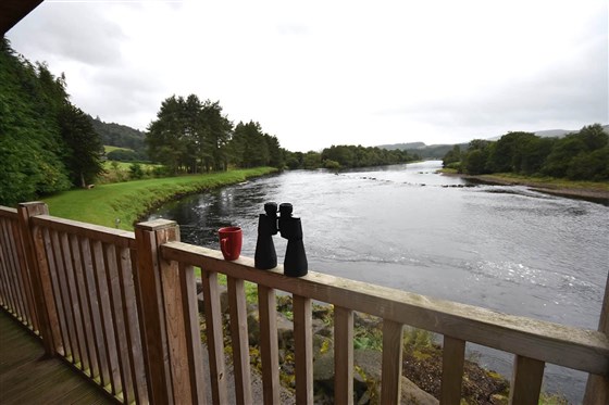 Dalguise Fishing