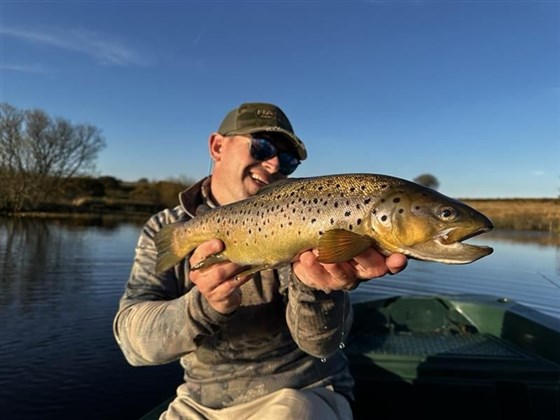 Good Brownie