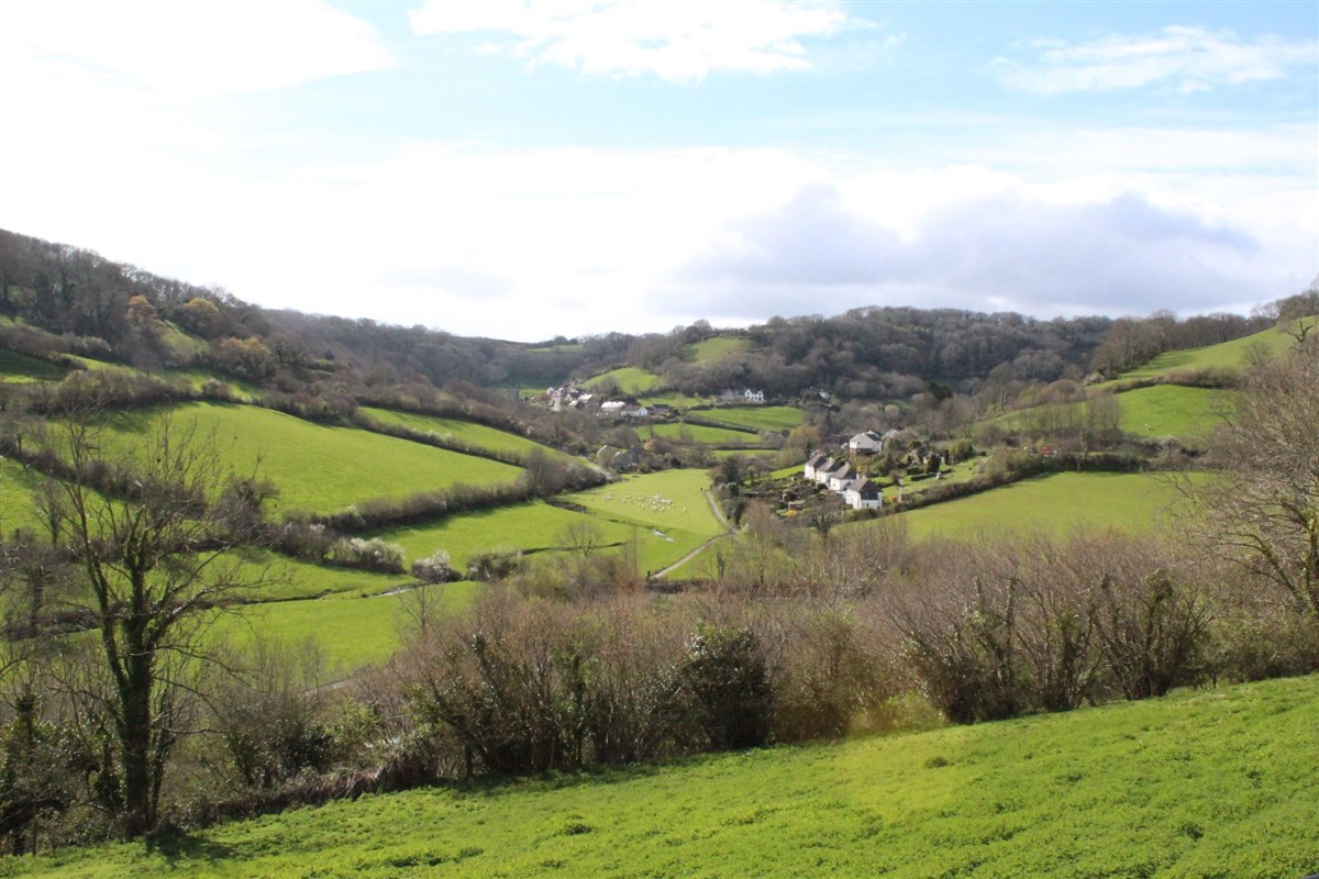 Branscombe countryside