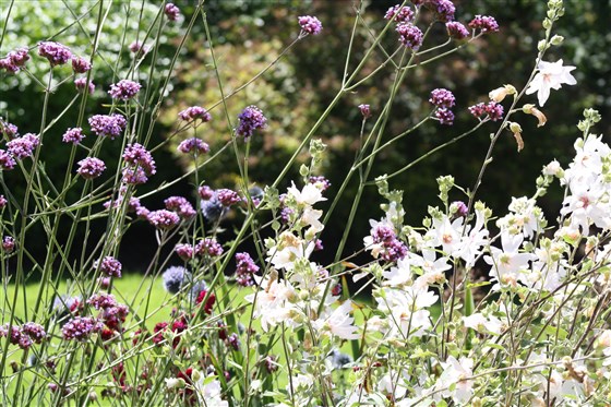 Views of the gardens