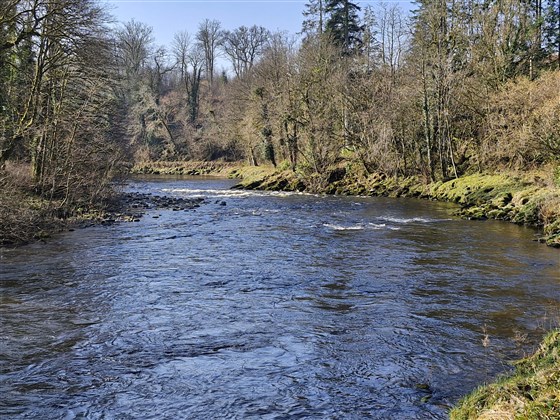 Border Esk