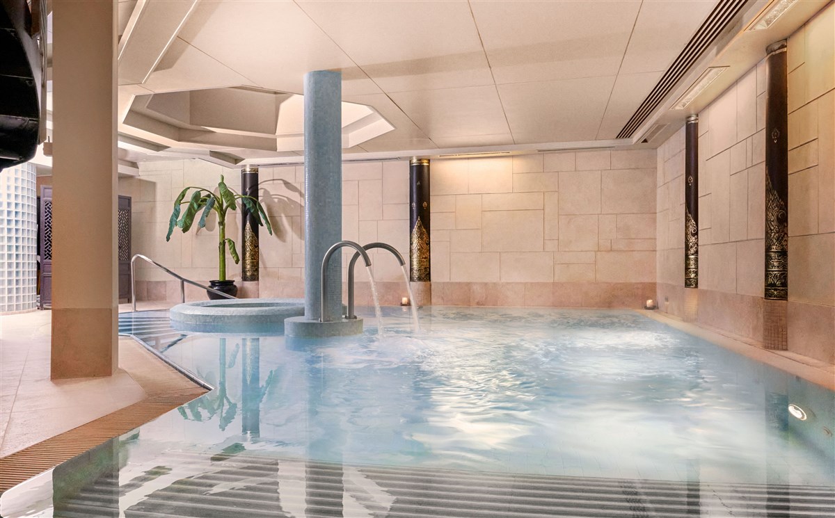 SenSpa Hydrotherapy Pool