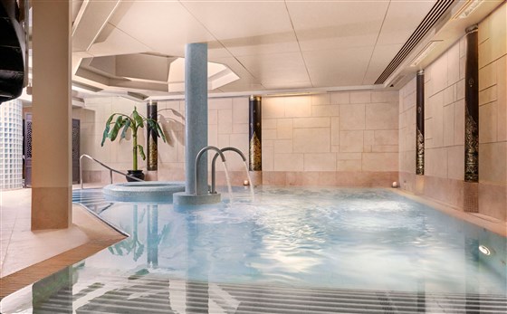 SenSpa Hydrotherapy Pool
