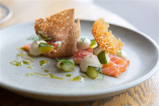Salmon Starter