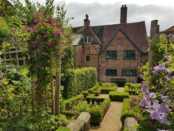 Our Garden