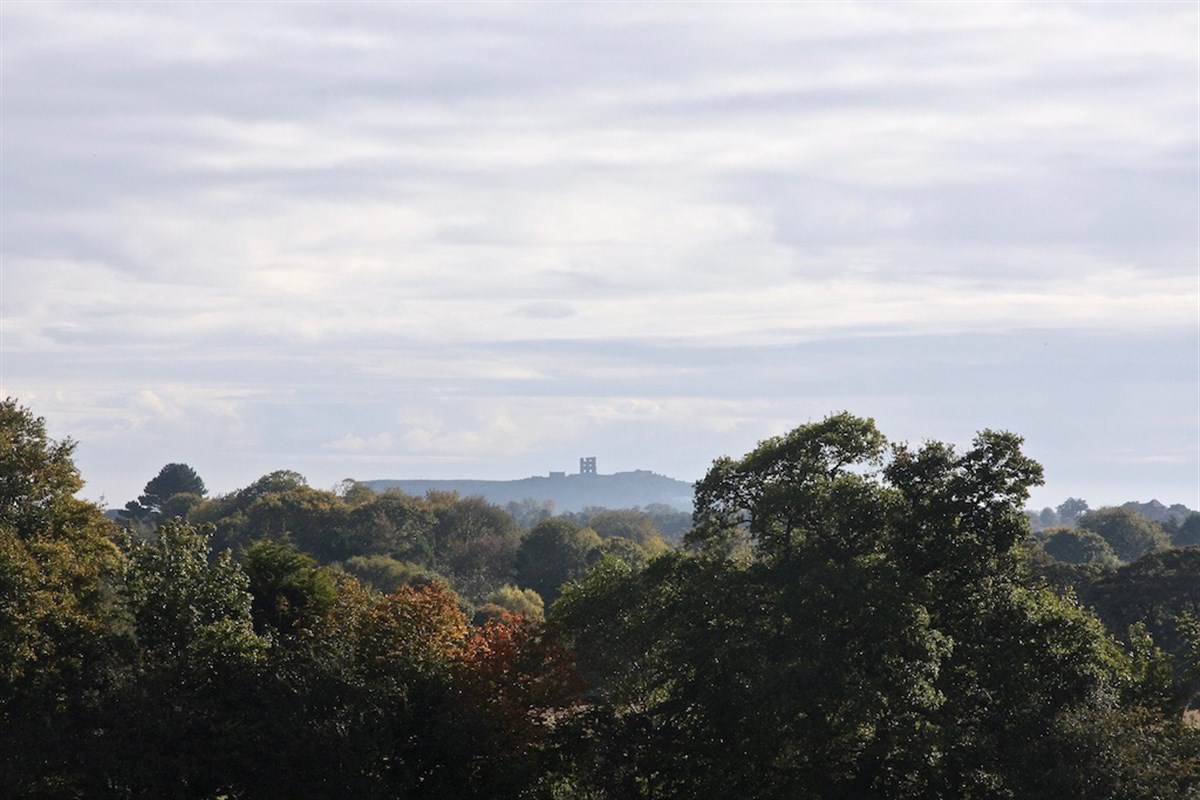 Castle in the distance