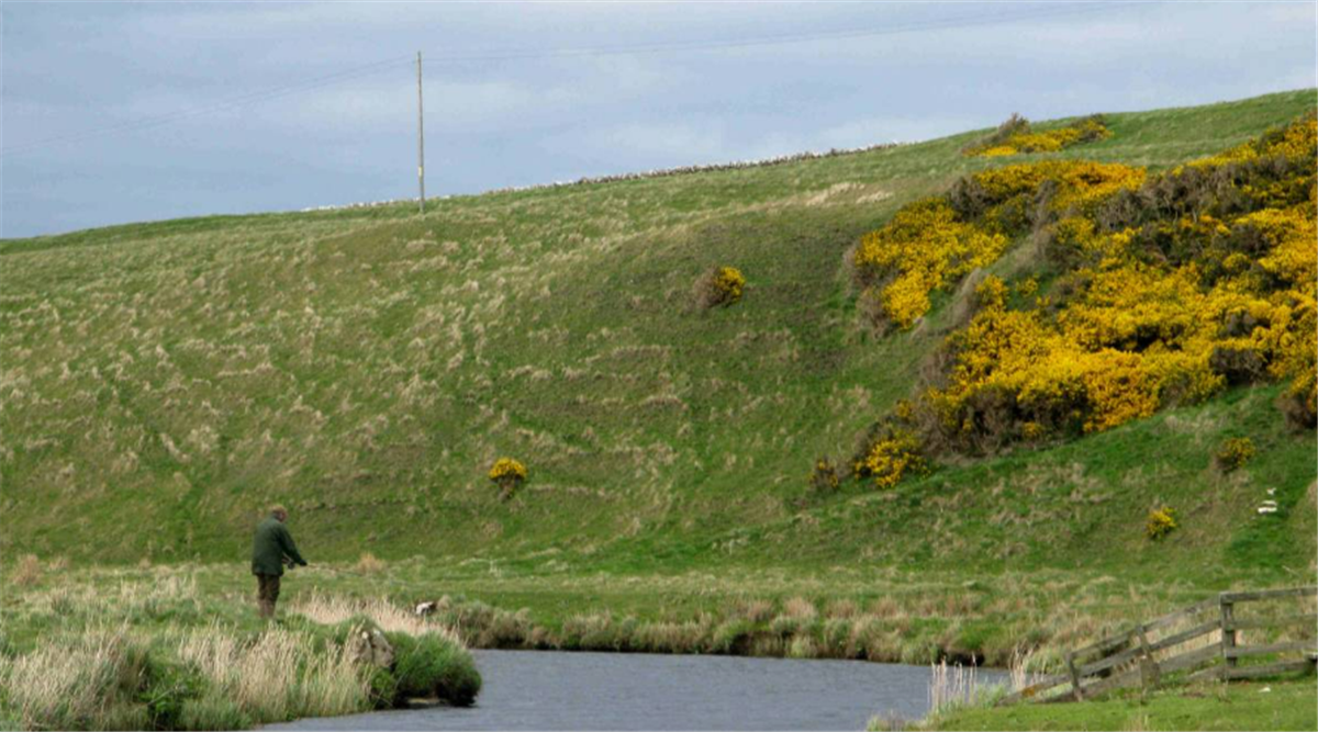 Forss House Fishings