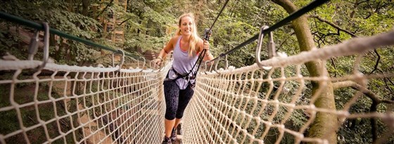 Go Ape