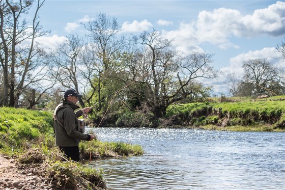 Upper beat fishing on the Eden