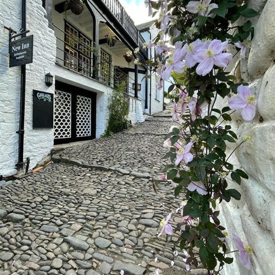 New Inn