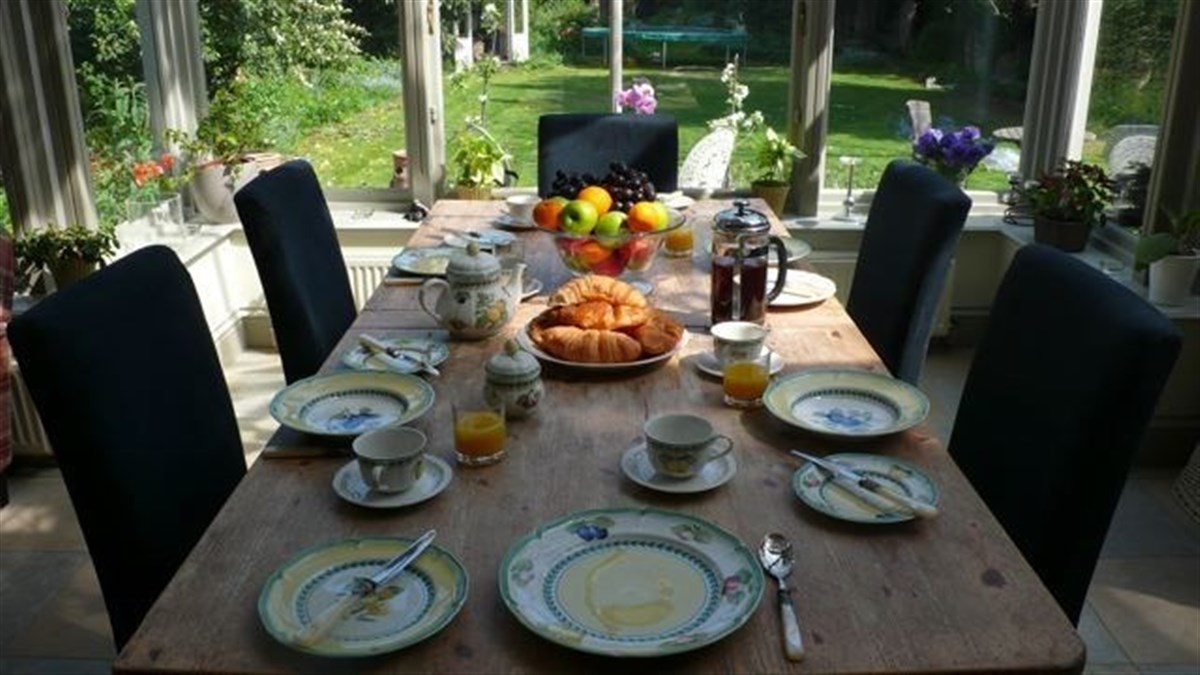 Desayuno Orgánico 