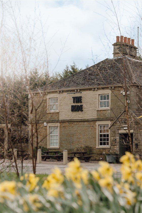 The Hide: Spring