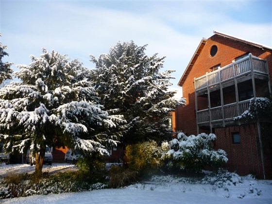 Edificio per alloggi nella neve (singole con bagno privato)