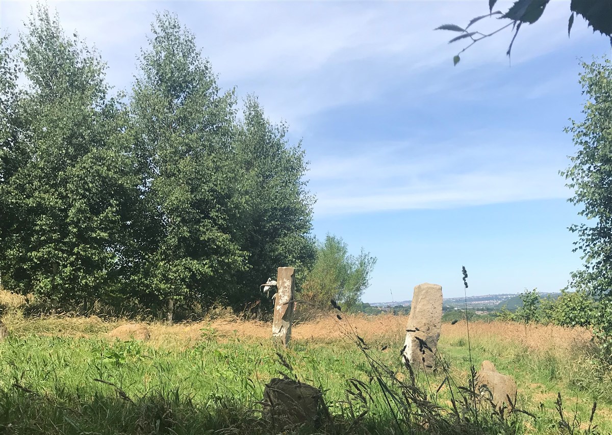 The stone circle in our wood