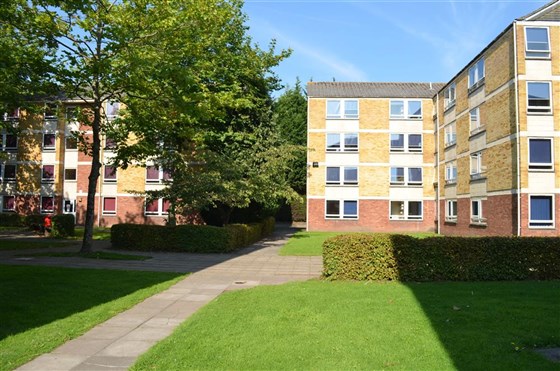 External Talybont North