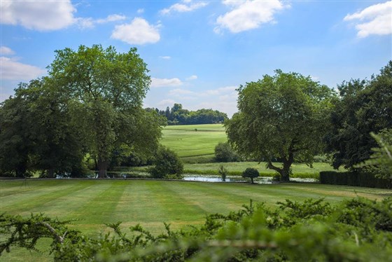 Grounds