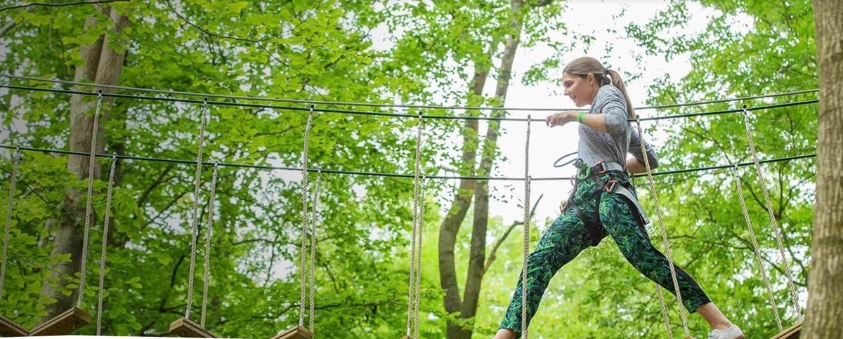 Go Ape