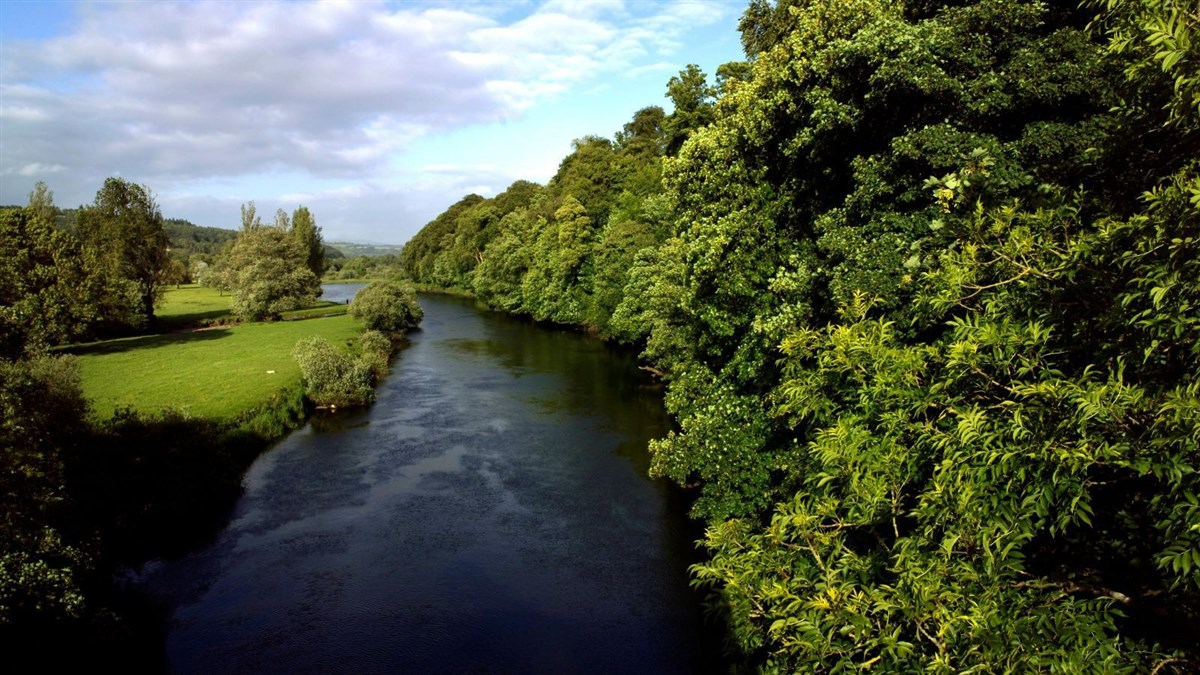 Cliff River Lodge on the Blackwater