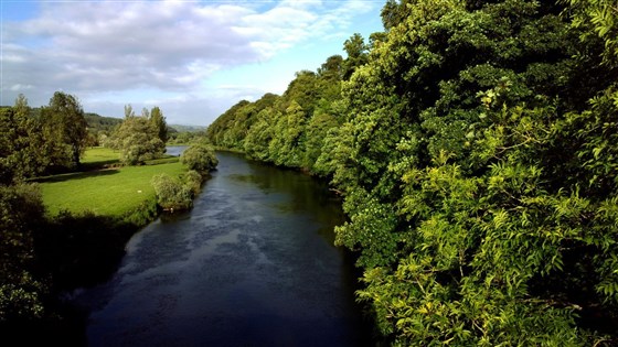 Cliff River Lodge on the Blackwater