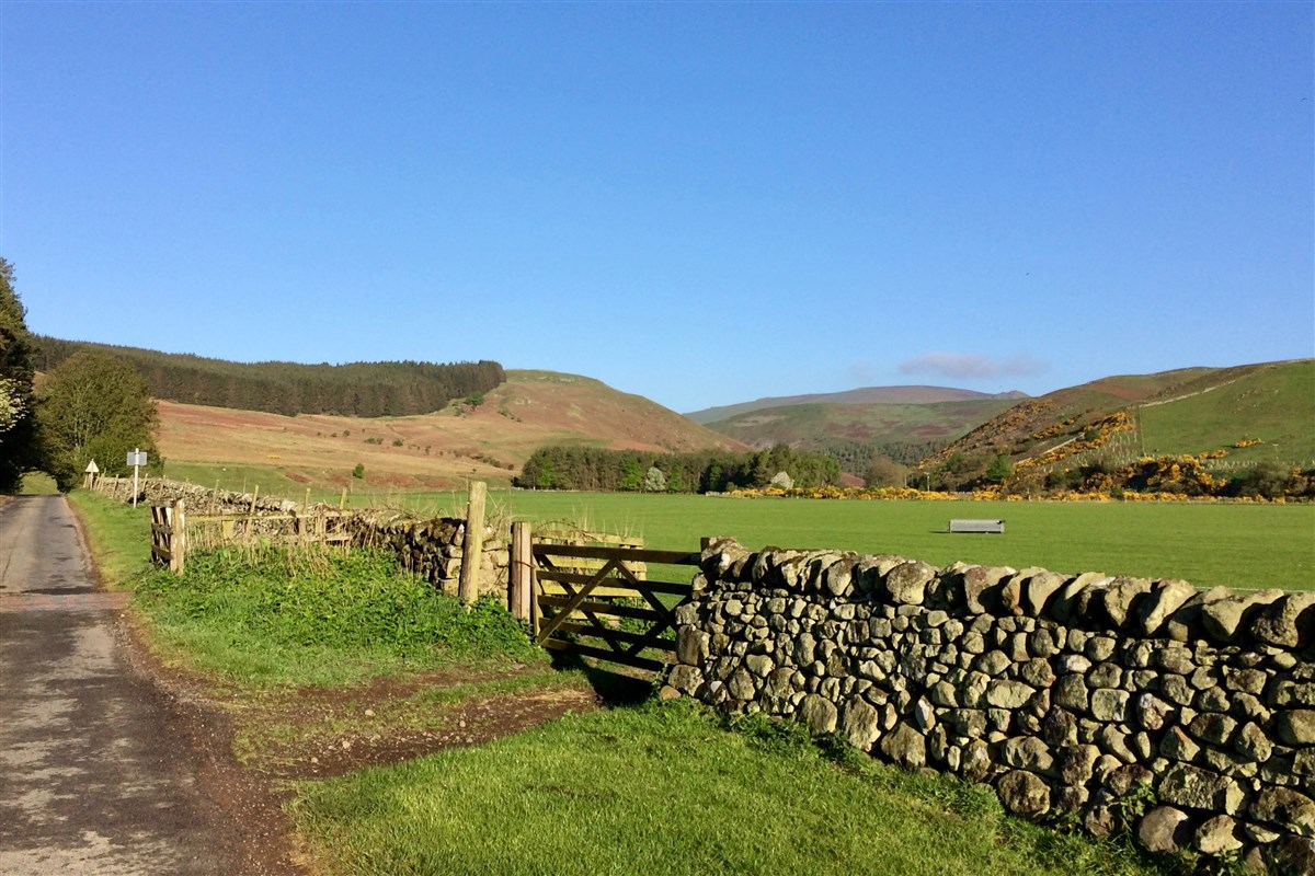 View into valley