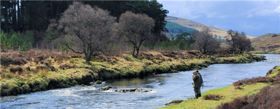 River Helmsdale beat 2 below