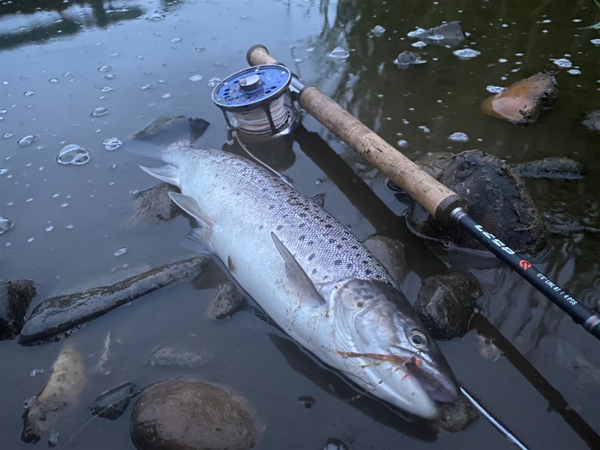 Ugie Sea Trout