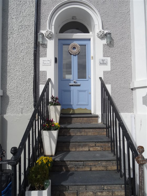 欢迎来到阿维尔·莫尔