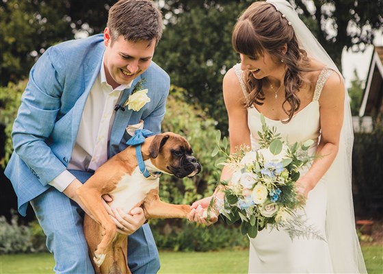 We're dog friendly!