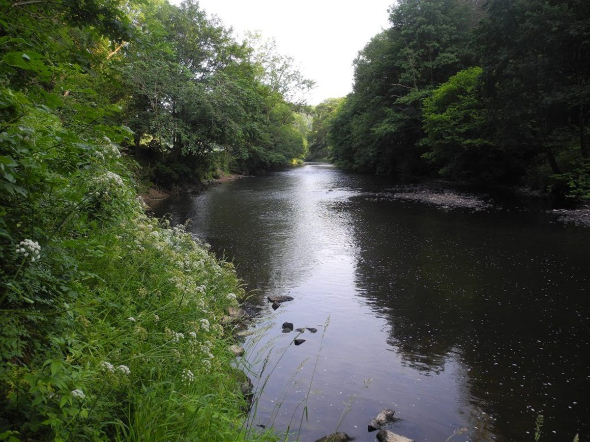 Looking upstream