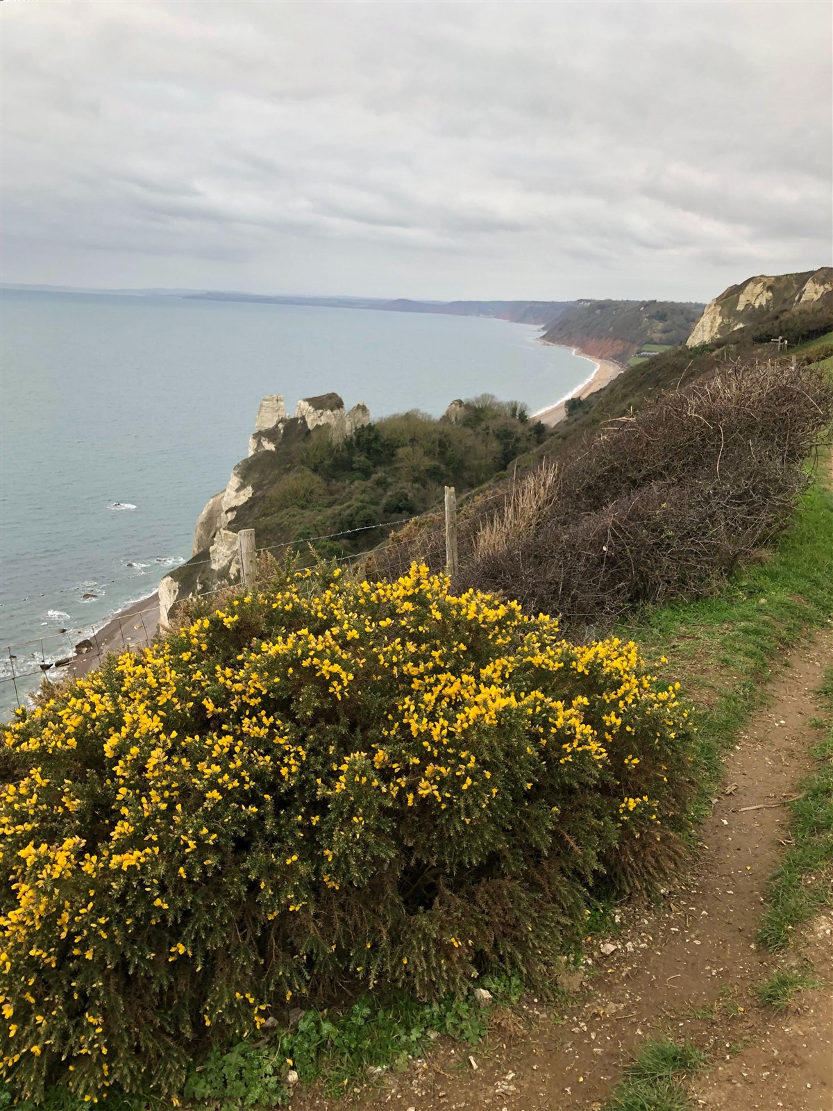 Coastal path