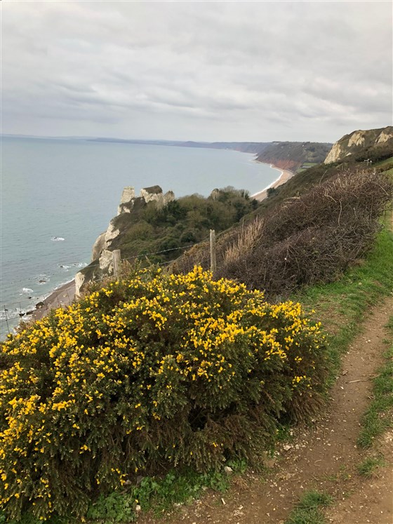 Coastal path