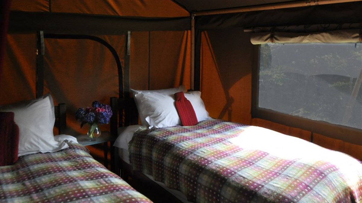 Luxury safari tents