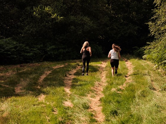 Running in Fairyland