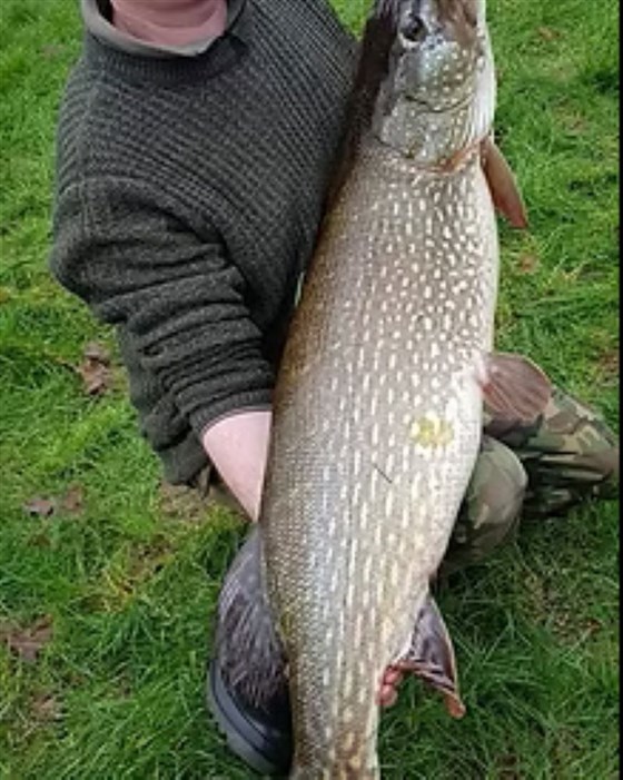The Oaks Fishery