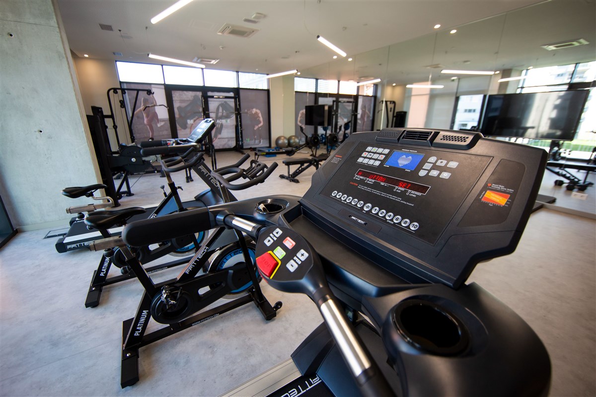 Palestra