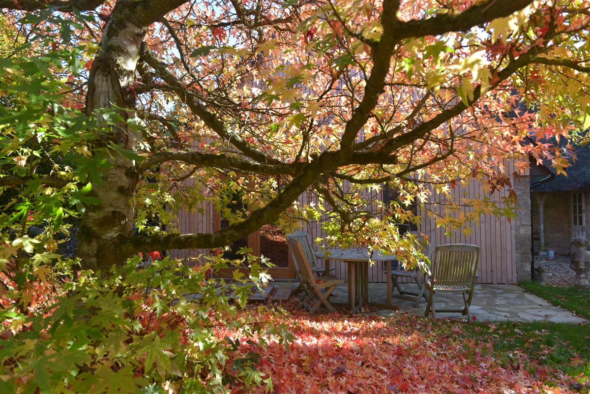 Estudio de jardín en otoño.
